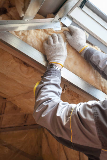 Best Affordable Insulation Services  in Montour Falls, NY