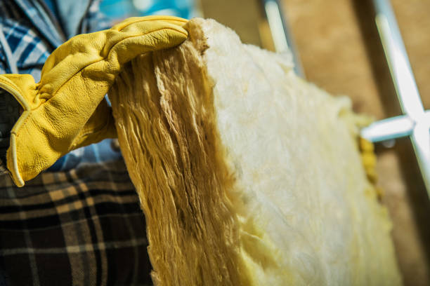 Best Attic Insulation Installation  in Montour Falls, NY