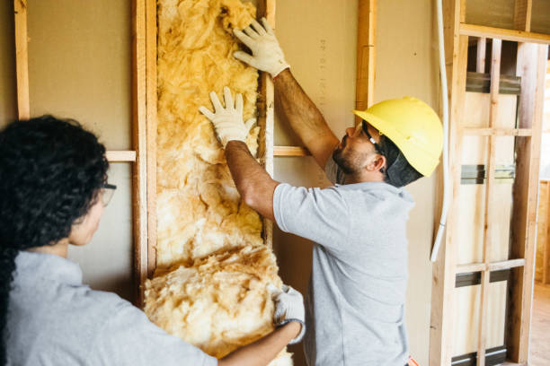 Best Insulation Replacement Services  in Montour Falls, NY