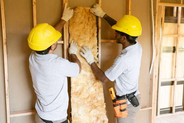 Best Insulation Inspection Services  in Montour Falls, NY