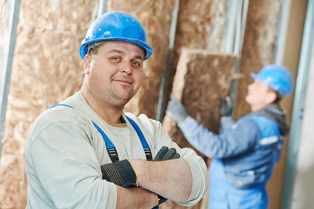 Best Soundproof Insulation Installation  in Montour Falls, NY
