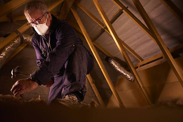 Best Energy-efficient Insulation  in Montour Falls, NY